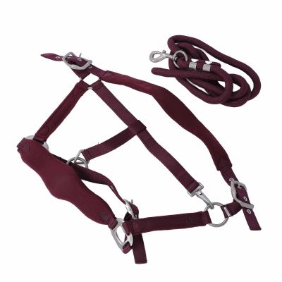 Soft Horse Training Halter, Laptop-Laptop (24 x 18.5 cm / 9.4 x 7.3 in)