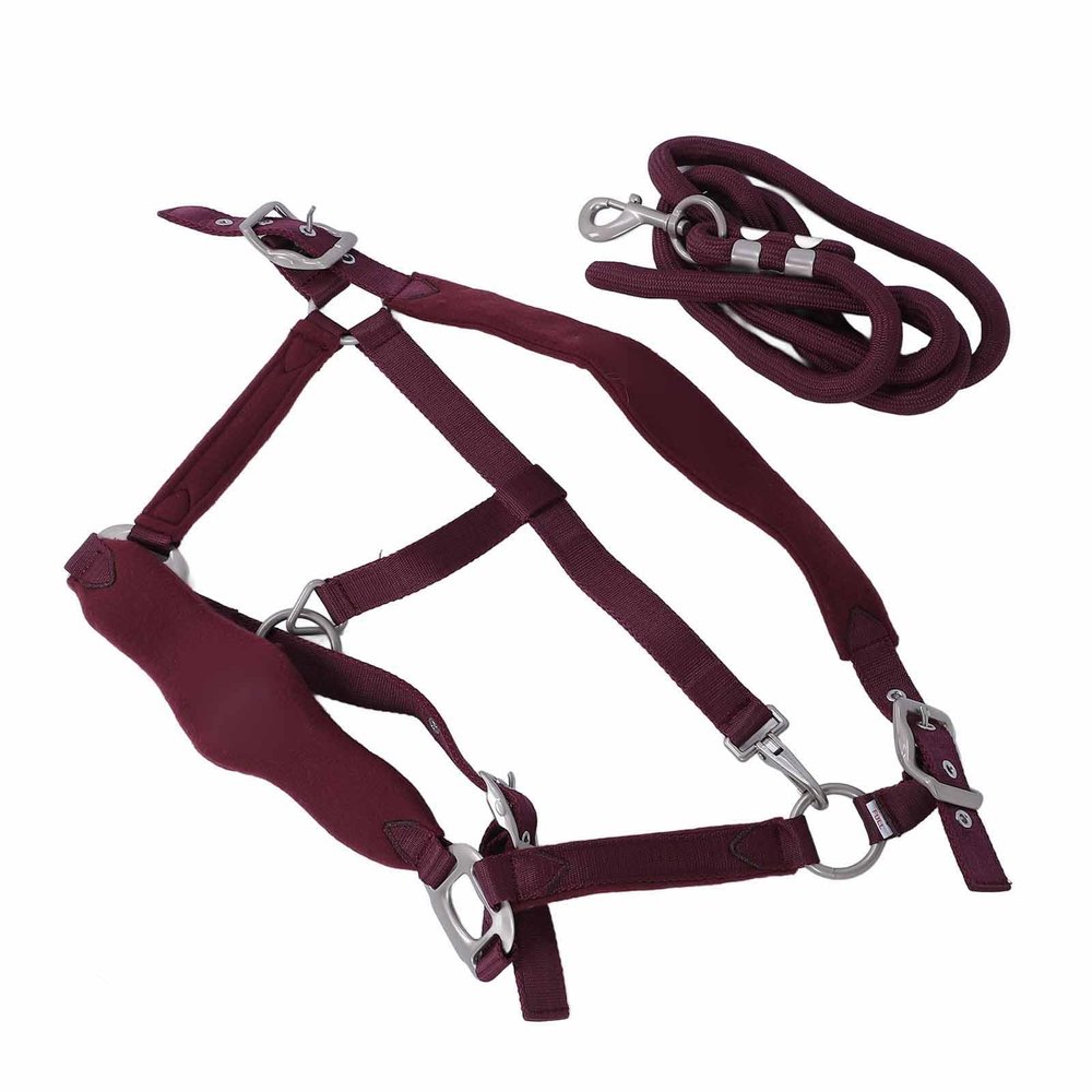 Soft Horse Training Halter, Laptop-Laptop (24 x 18.5 cm / 9.4 x 7.3 in)