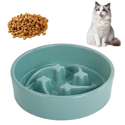 Ceramic Slow Feeder Bowl for Cats and Dogs