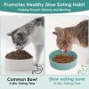 Ceramic Slow Feeder Bowl for Cats and Dogs view 3