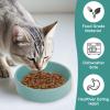 Ceramic Slow Feeder Bowl for Cats and Dogs view 4