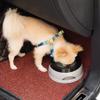 Dog Water Bowl, No Spills, 750 ml, Slow Water Dispenser for Dogs and Cats, Travel Use view 2
