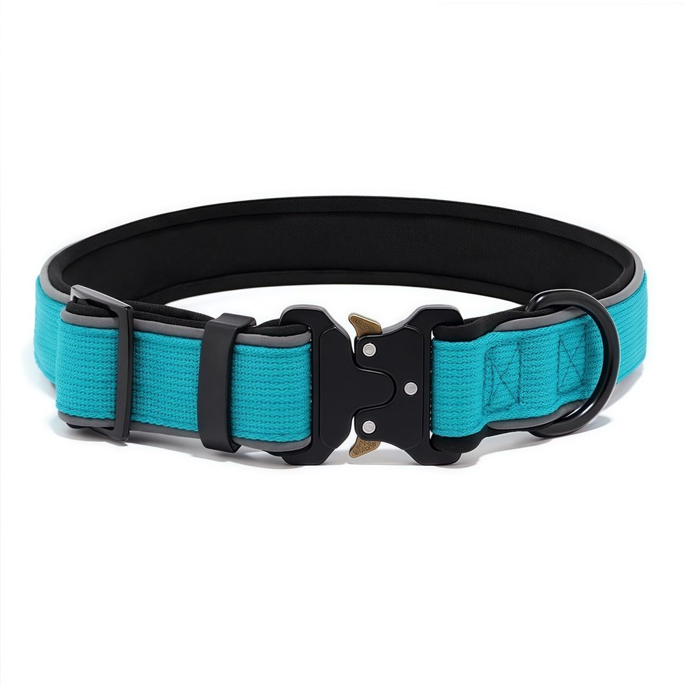 Drawelry Reflective Dog Collar with D-Shaped Alloy Metal Buckle, Adjustable Nylon, Blue, L