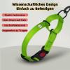 Drawelry Reflective Dog Collar with D-Shaped Alloy Metal Buckle, Adjustable Nylon, Blue, L view 3