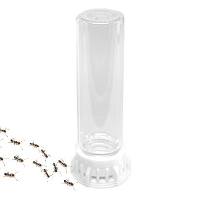Ant Water Dispenser, Fluid Container for Small Animals