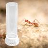 Ant Water Bottle | Fluid Container for Small Animals view 3