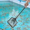 Aquarium Net | Portable Fish Net for Tanks view 3