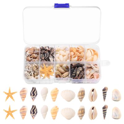 1 Box, Approx. 220 Natural Seashells and Starfish for Crafts and Decor