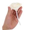 BIUDECO 2-Piece Beige Flower Diffuser Set with Cotton Cord view 4