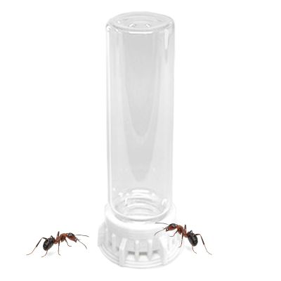 Ant Water Bottle - Fluid Container for Small Animals