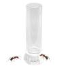 Ant Water Bottle - Fluid Container for Small Animals view 1