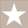 Ambiente Star Taupe Lunch/Party Napkins, approx. 33 x 33 cm view 1