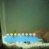 JECOMPRIS Airflow Splitter for Aquariums view 2