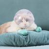 Cat Muzzle - Easy to Use Transparent Design view 2
