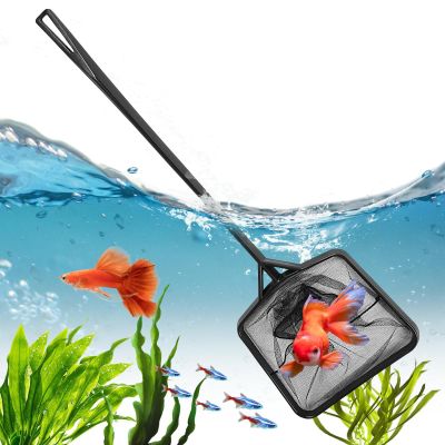 Aquarium Net