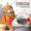 AURIVEE Cat Toy 2-Pack, Hanging Feather Toy for Frame, Squeaky Mouse with Feather Tail view 2