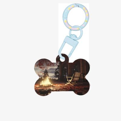 Pet Go ID Tags The Fire Pit in The Destroyed Library, Personalized Dog and Cat Tags, Bone-Shaped Acrylic, Sky Blue, Size S