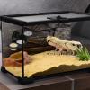 Reptile Feeding Ledge with Suction Cup view 2