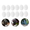 KOMBIUDA 30 White Plastic Pigeon Eggs, Sturdy and Realistic, for Reducing Broodiness and Decoration view 2
