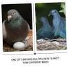 KOMBIUDA 30 White Plastic Pigeon Eggs, Sturdy and Realistic, for Reducing Broodiness and Decoration view 3