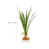 ERINGOGO Artificial Plants for Reptiles view 2