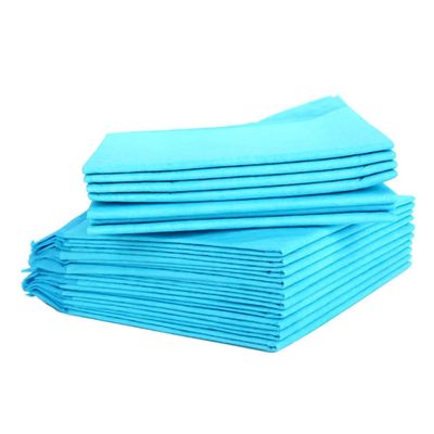 VERDANVERSE Disposable Dog Training Pads - 10 Pack