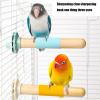 Natural Wood Bird Perch for Parrots view 4