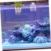 ifundom Clear Plastic Aquarium Plant Holder with Suction Cup view 4