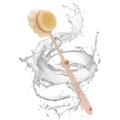 Body Brush for the Shower with Long Handle
