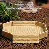 Tortoise Water Dish view 2