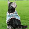 Cat Harness and Leash Set, Breathable Cat Walking Vest view 2