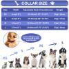 Adjustable Puppy Collar 25-40cm for Small Medium Dogs Cats view 4