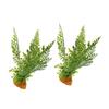 Artificial Reptile Plants for Terrariums, 2-Piece Set, Green Plastic view 1