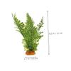 Artificial Reptile Plants for Terrariums, 2-Piece Set, Green Plastic view 2
