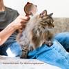 Dog Hair Brush for Grooming view 2