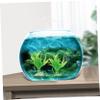 HANABASS 10-Piece Aquarium Grass Decoration Set view 3