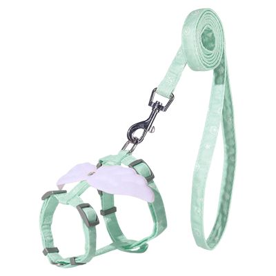 Escape-Proof Harness for Walks