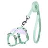 Escape-Proof Harness for Walks view 1