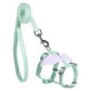 Escape-Proof Harness for Walks view 3