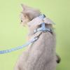 Escape-Proof Harness for Walks view 4