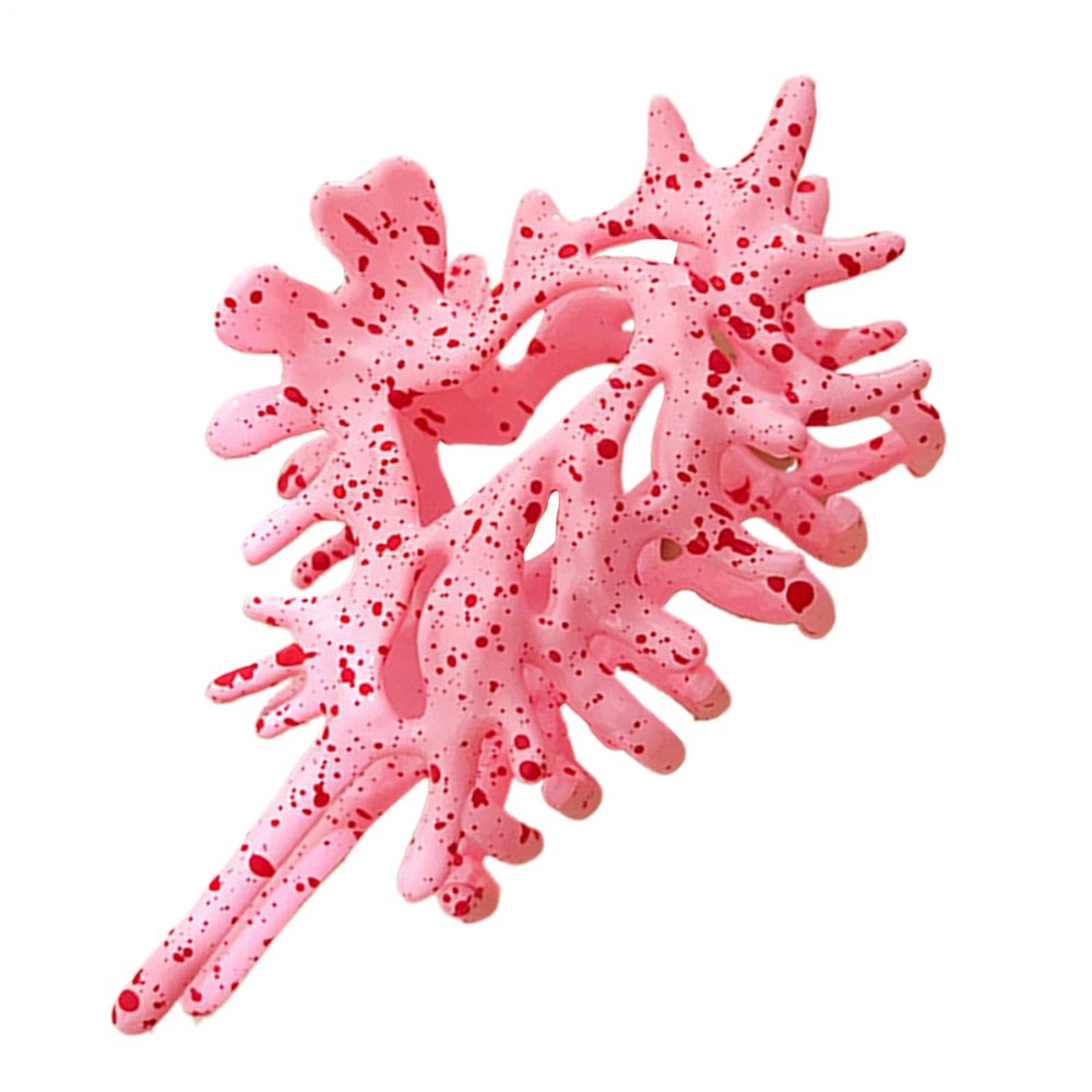 Shell Hair Clip for Women