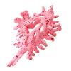 Shell Hair Clip for Women view 1