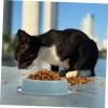 Supvox Slow-Feeder Dog Bowl with Ridge Design view 4