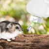 yybng Hamster & Rabbit Water Bottle view 3