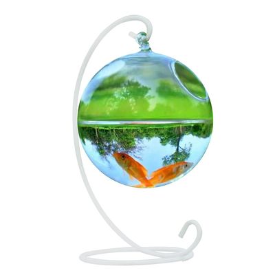 Fazvncv Handmade Round Glass Fish Bowl with Stand, Hanging Aquarium and Plant Terrarium