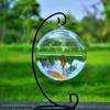 Fazvncv Handmade Round Glass Fish Bowl with Stand, Hanging Aquarium and Plant Terrarium view 3