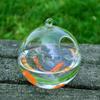 Fazvncv Handmade Round Glass Fish Bowl with Stand, Hanging Aquarium and Plant Terrarium view 4