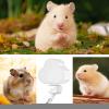 Hamster Water Bottle | Drip-Free Dispenser for Small Pets view 4