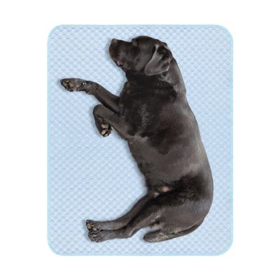 Cooling Mat for Dogs and Cats