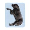 Cooling Mat for Dogs and Cats view 1